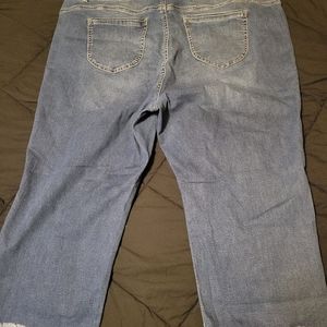 Avenue Jean Capris size 20